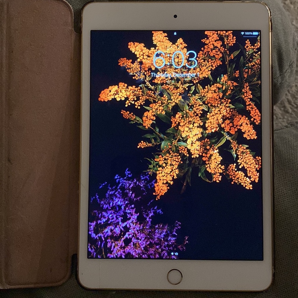 iPad Mini 4 - Picture 3 of 4